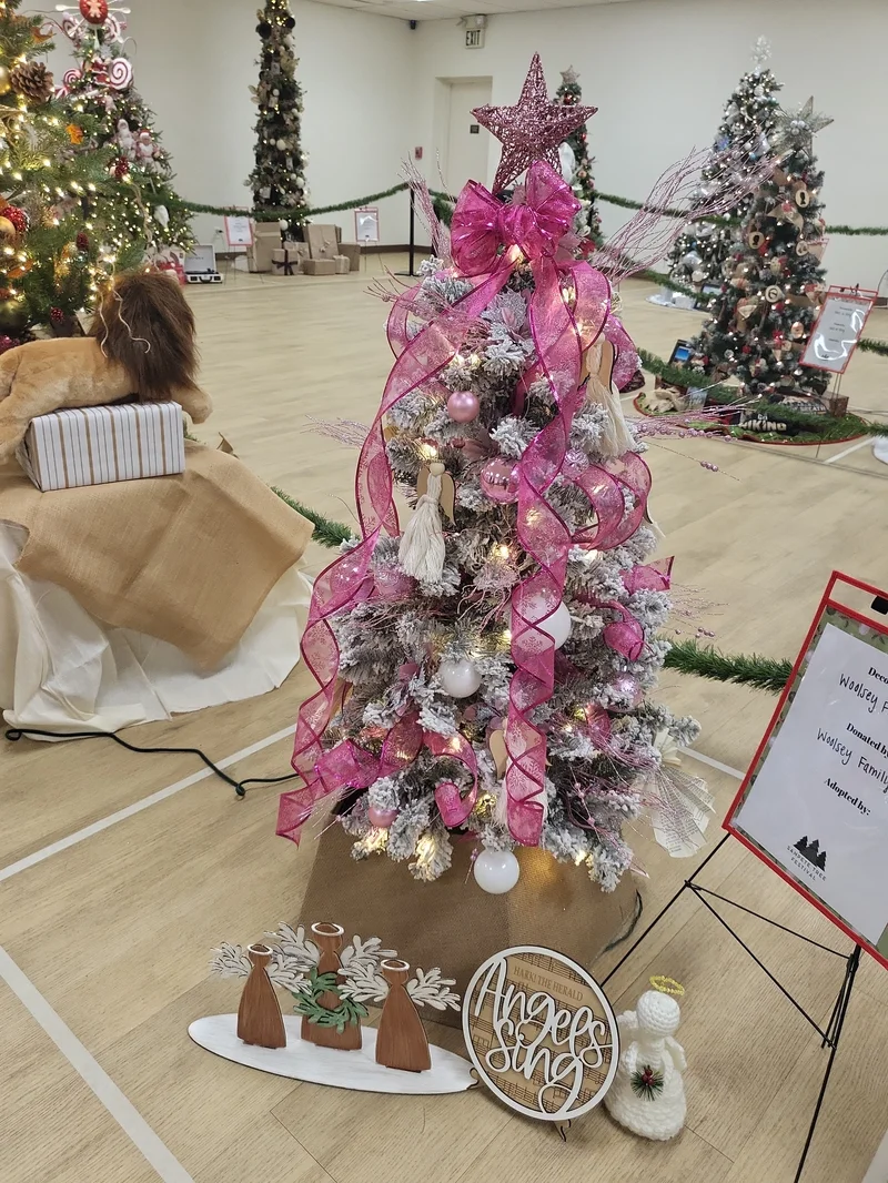 2024 Festival photo 12