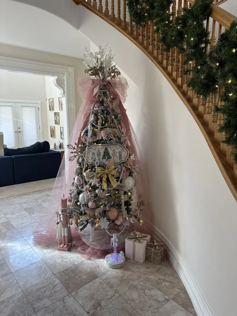 2024 Festival photo 26