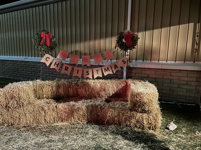 2024 Festival photo 8