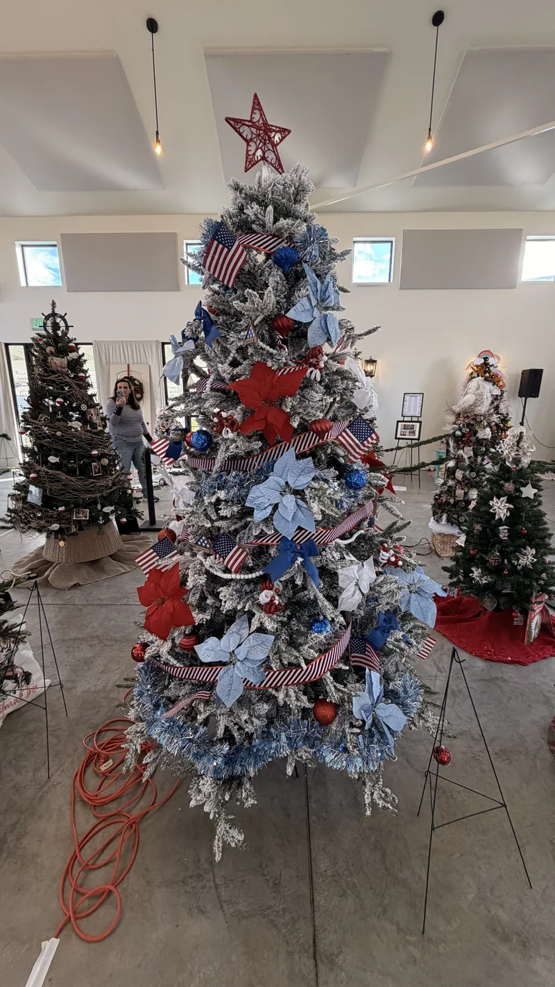 2025 Festival photo 15