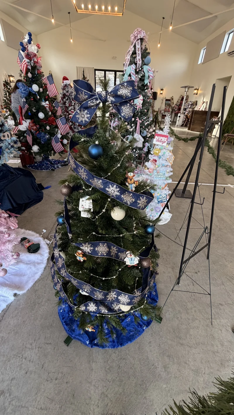 2025 Festival photo 24