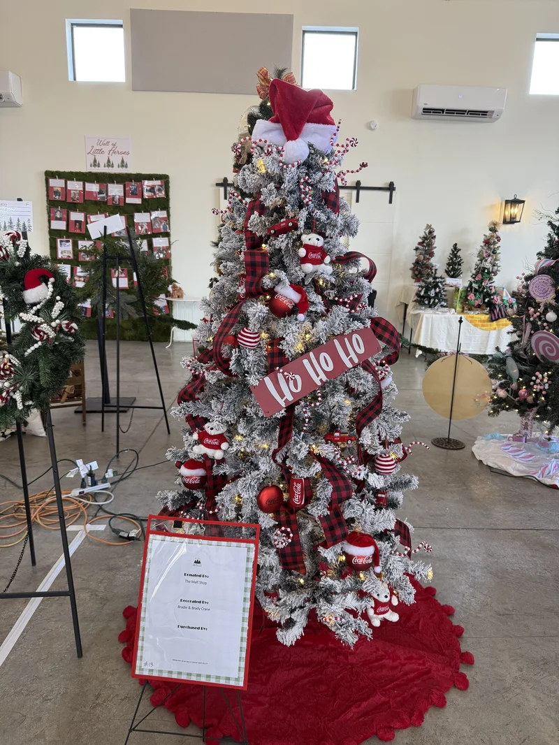 2025 Festival photo 28