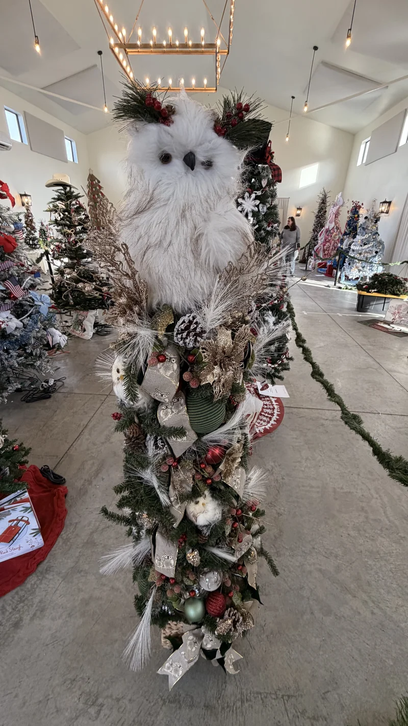 2025 Festival photo 47