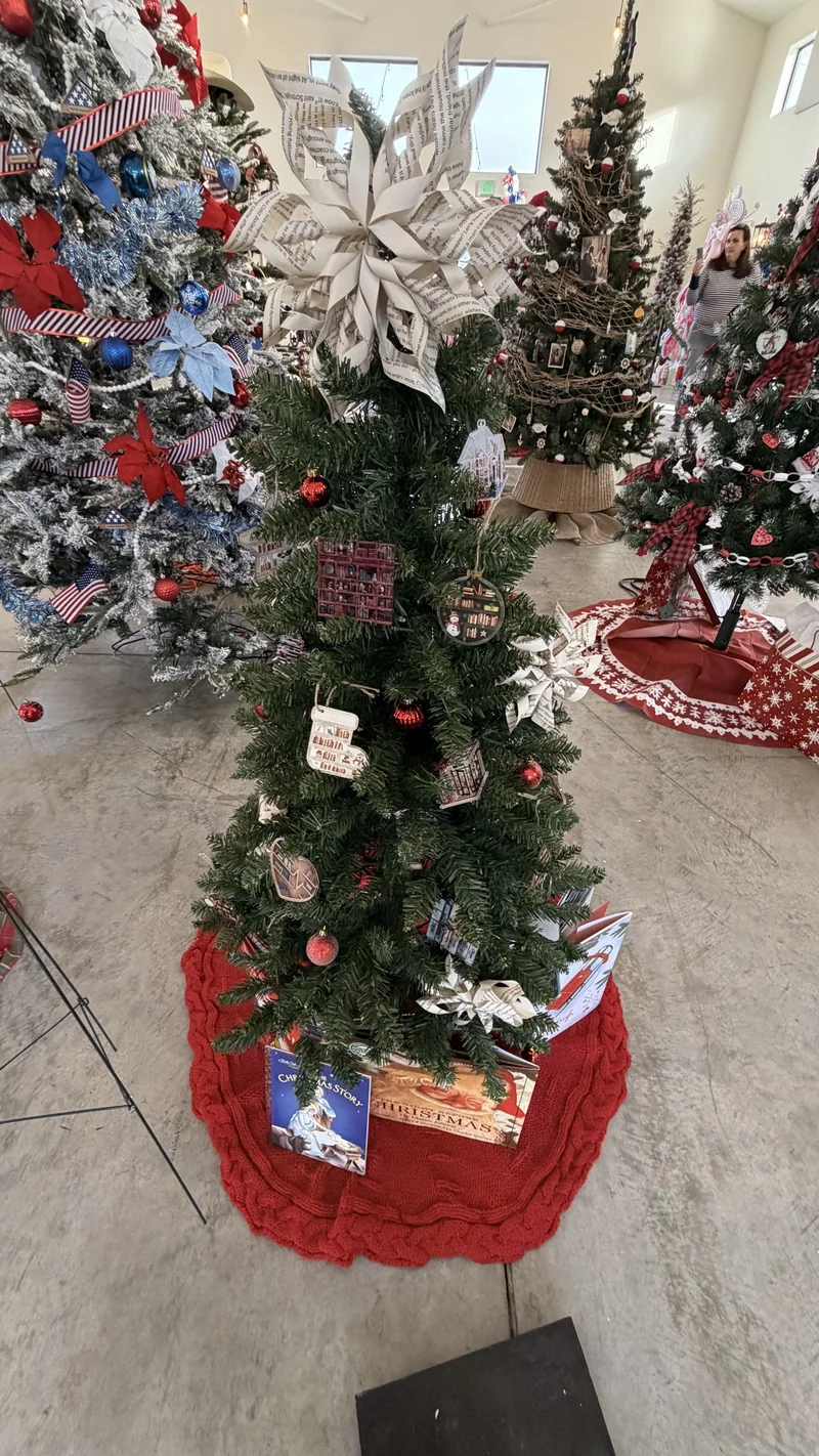 2025 Festival photo 5