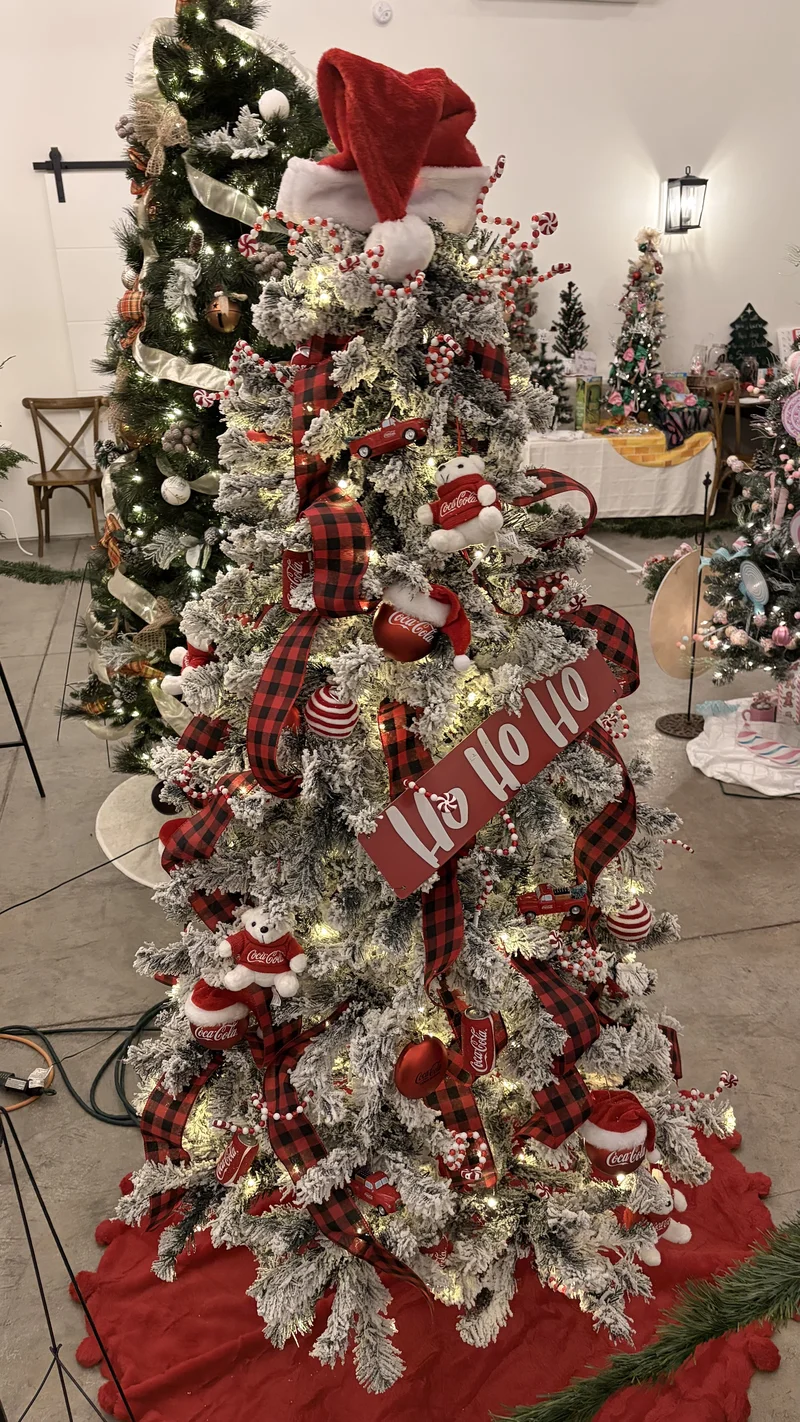 2025 Festival photo 55