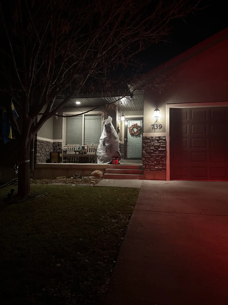 2025 Festival photo 76